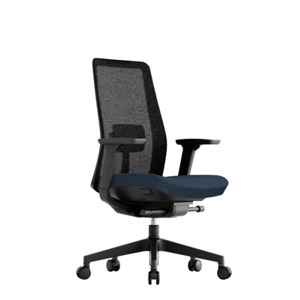 Kancelářská ergonomická židle OFFICE PRO K10 — více barev Modrá